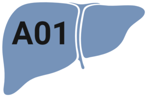 A01