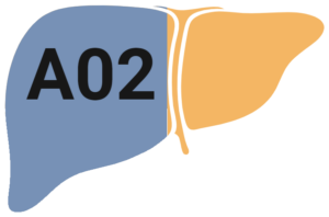 A02