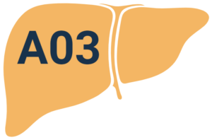 A03